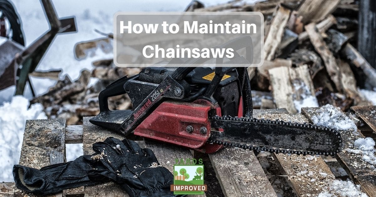 chainsaw care and maintenance