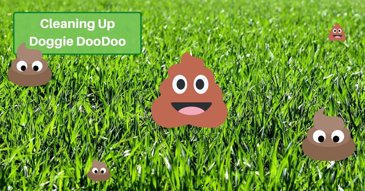 poop emojis on the lawn