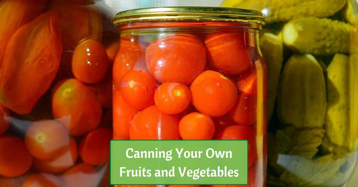 three canning jars with different vegetables. text reads, canning your own fruits and vegetables