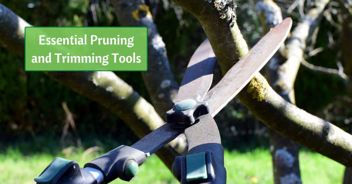 a rusty lopper is poised to cut a branch. Text reads, essential pruning and trimming tools
