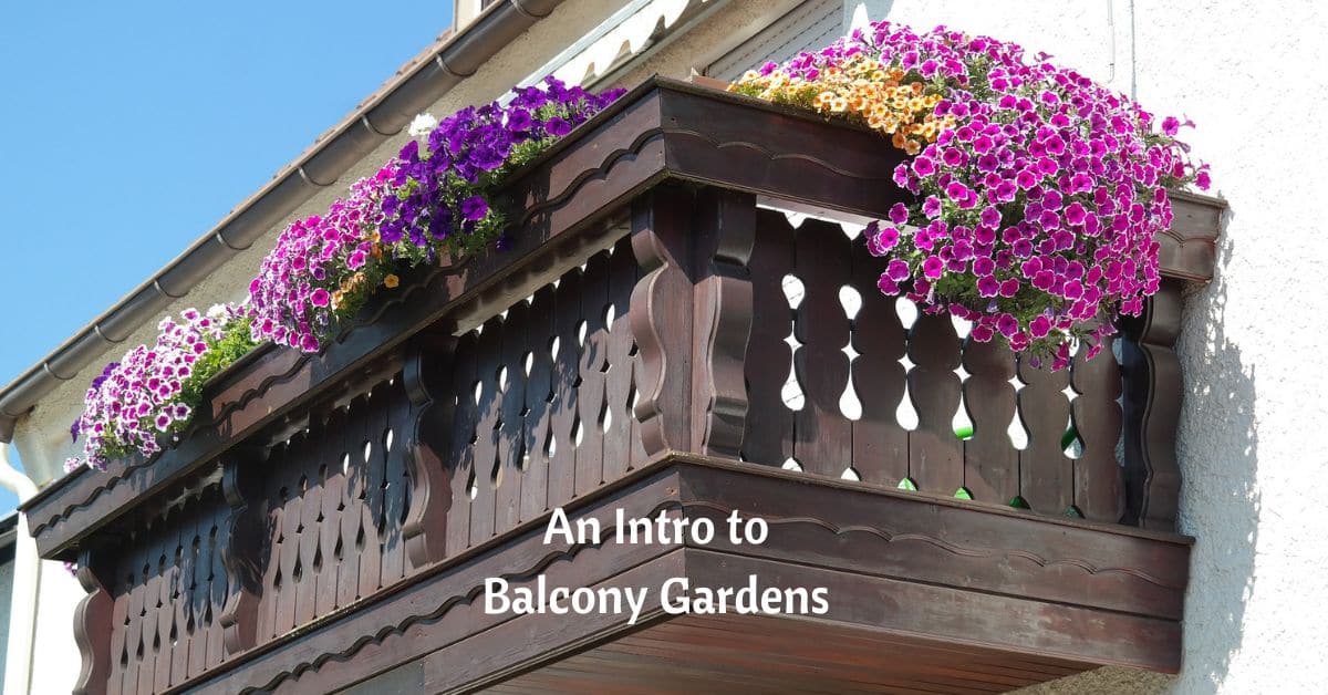 an old-fashioned spanish colonial style balcony with flowers blooming over the railings. text reads, An intro to balcony gardens