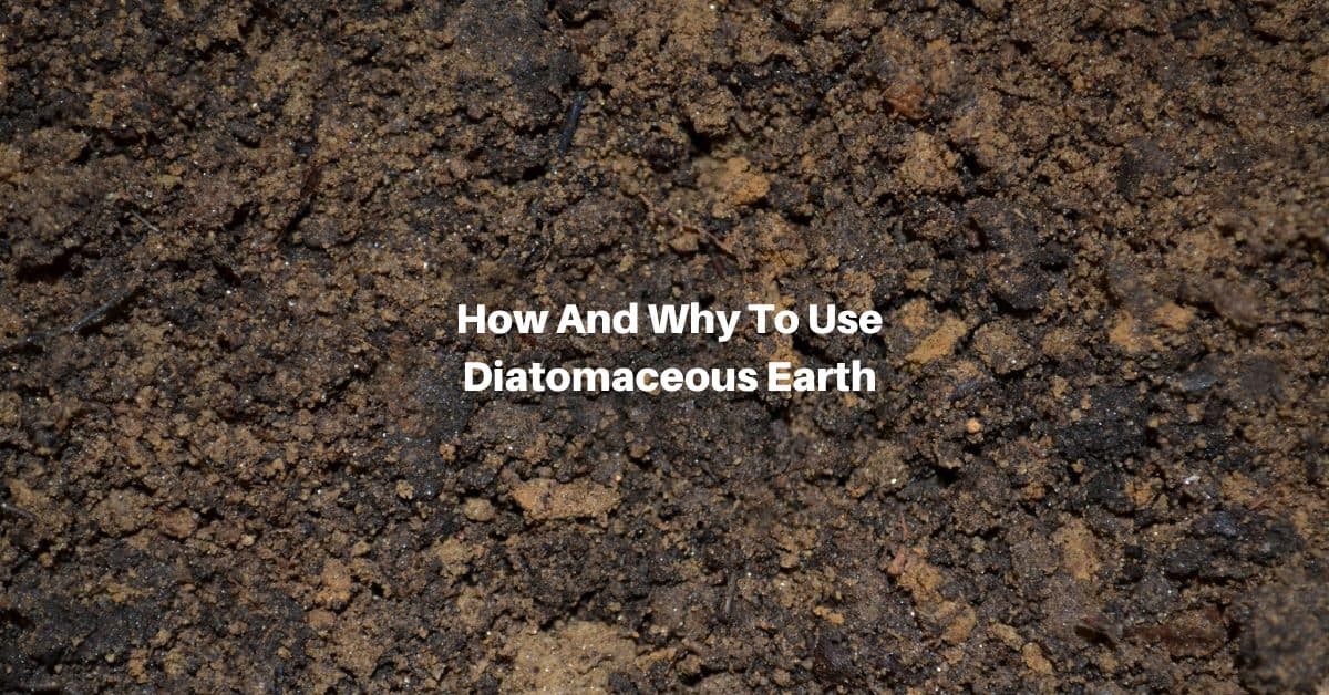 topsoil with mulch and specks of diatomaceous earth. text reads, how and why to use diatomaceous earth