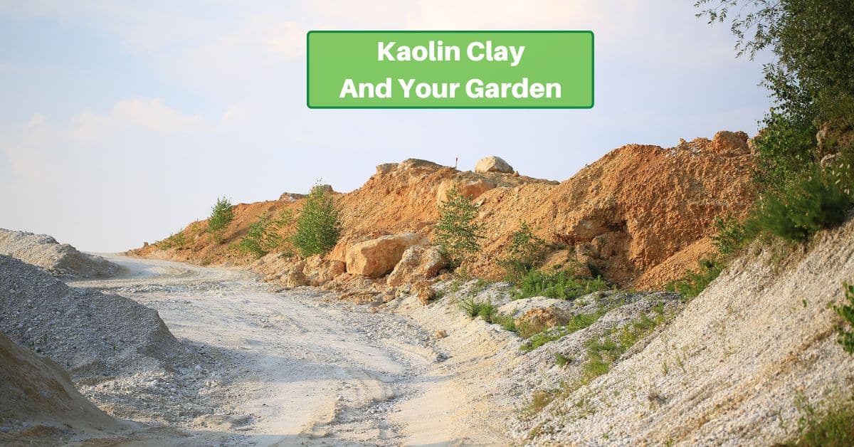 a dusty, sandy road with banks of clay on the side. text reads, kaolin clay and your garden