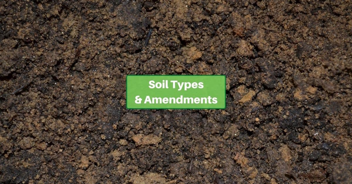 a photo of soil. text reads soil types and amendments